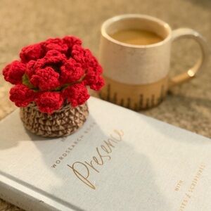 Handcrafted Red Crochet Flower Pot